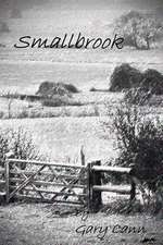 Smallbrook