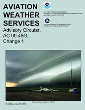 Aviation Weather Services