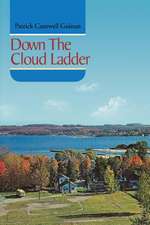 Down the Cloud Ladder