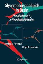 Glycerophospholipids in the Brain: Phospholipases A2 in Neurological Disorders