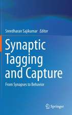 Synaptic Tagging and Capture: From Synapses to Behavior