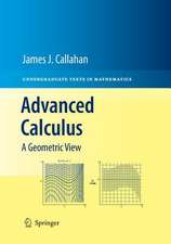 Advanced Calculus: A Geometric View