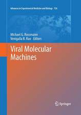 Viral Molecular Machines