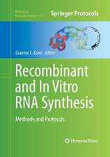 Recombinant and In Vitro RNA Synthesis: Methods and Protocols