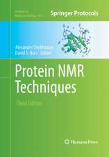 Protein NMR Techniques