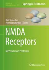 NMDA Receptors: Methods and Protocols 