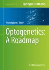 Optogenetics: A Roadmap