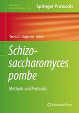 Schizosaccharomyces pombe