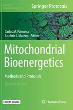 Mitochondrial Bioenergetics