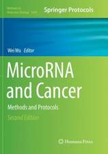 MicroRNA and Cancer: Methods and Protocols