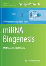 miRNA Biogenesis: Methods and Protocols 