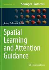 Spatial Learning and Attention Guidance