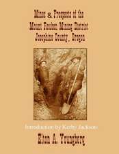 Mines and Prospects of the Mount Reuben Mining District