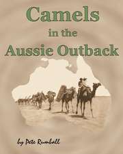 Camels in the Aussie Outback