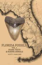 Florida Fossils