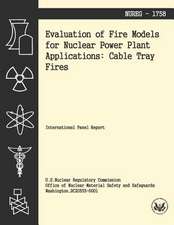 Evaluation of Fire Models for Nuclear Power Plant Applications