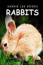 Rabbits - Sandie Lee Books