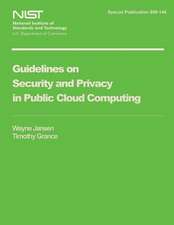 Guidelines on Security and Privacy in Public Cloud Computing