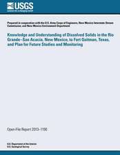 Knowledge and Understanding of Dissolved Solids in the Rio Grande- San Acacia, New Mexico, to Fort Quitman, Texas, and Plan for Future Studies and Mon