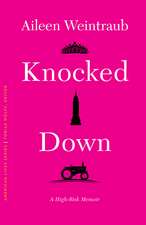 Knocked Down: A High-Risk Memoir