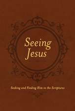 Seeing Jesus