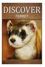 Ferret - Discover