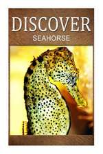 Seahorse - Discover