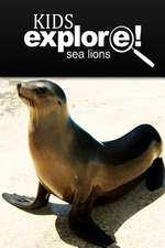 Sea Lion - Kids Explore