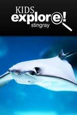 Stingray - Kids Explore