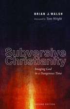 Subversive Christianity: Imaging God in a Dangerous Time