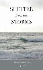 Shelter from the Storms; Promises from God