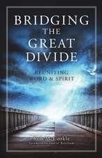 Bridging the Great Divide