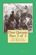 Don Quixote Part 3 of 3