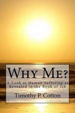 Why Me? a Look at Human Suffering as Revealed in the Book of Job