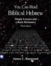 You Can Read Biblical Hebrew