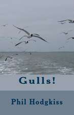 Gulls!