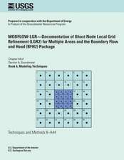 Modflow-Lgr?documentation of Ghost Node Local Grid Refinement (Lgr2) for Multiple Areas and the Boundary Flow and Head (Bfh2) Package