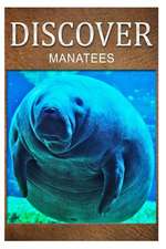 Manatees - Discover