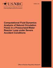 Computational Fluid Dynamics Analysis of Natural Circulation Flows in a Pressurized-Water Reactor Loop Under Severe Accident Conditions