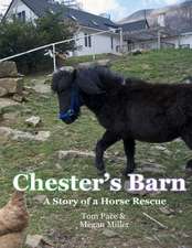 Chester's Barn