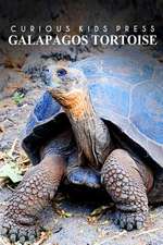 Galapagos Tortoise - Curious Kids Press