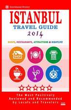 Istanbul Travel Guide 2014