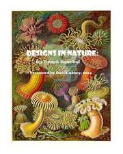 Designs in Nature