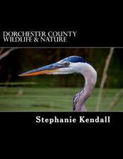 Dorchester County Wildlife & Nature