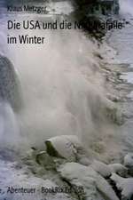 Die USA Und Die Niagarafalle Im Winter