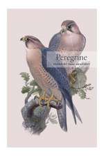 Peregrine