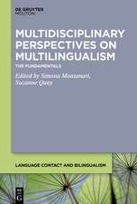 Multidisciplinary Perspectives on Multilingualism