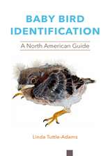 Baby Bird Identification – A North American Guide