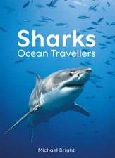 Sharks