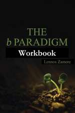 The B Paradigm Workbook